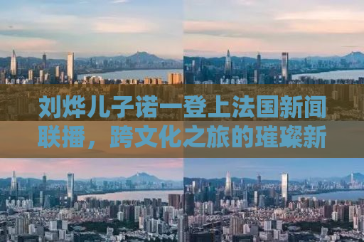 刘烨儿子诺一登上法国新闻联播，跨文化之旅的璀璨新星