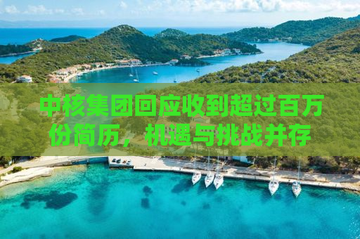 中核集团回应收到超过百万份简历，机遇与挑战并存