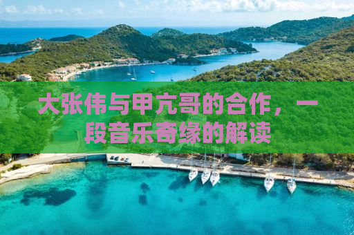 大张伟与甲亢哥的合作，一段音乐奇缘的解读
