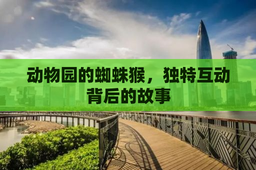 动物园的蜘蛛猴，独特互动背后的故事