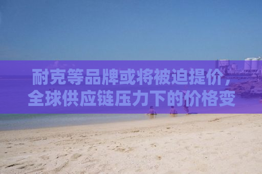 耐克等品牌或将被迫提价，全球供应链压力下的价格变动分析