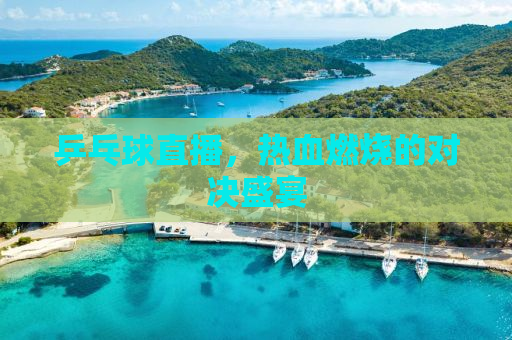 乒乓球直播，热血燃烧的对决盛宴