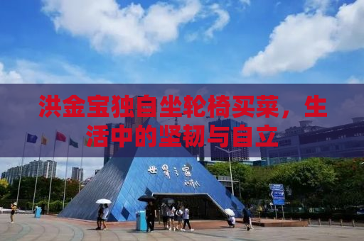 洪金宝独自坐轮椅买菜，生活中的坚韧与自立