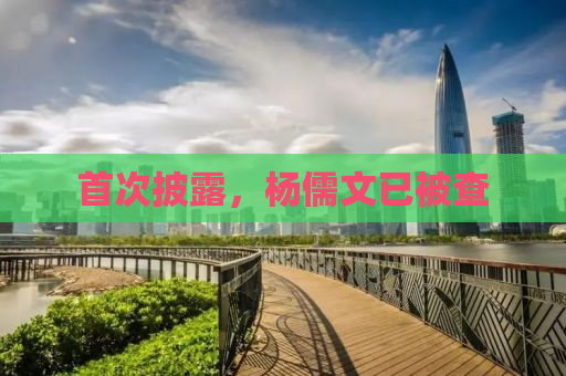 首次披露，杨儒文已被查