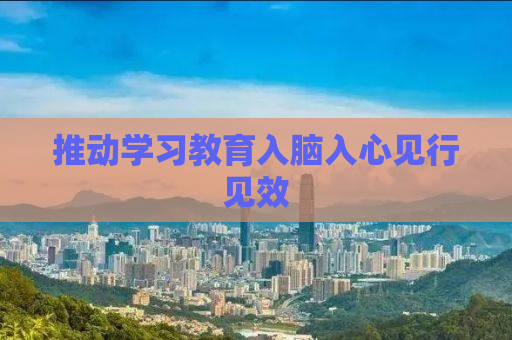 推动学习教育入脑入心见行见效