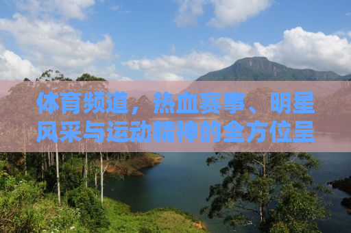 体育频道，热血赛事、明星风采与运动精神的全方位呈现