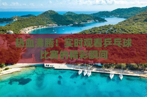 热血沸腾！实时观看乒乓球比赛的精彩瞬间