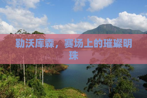 勒沃库森，赛场上的璀璨明珠