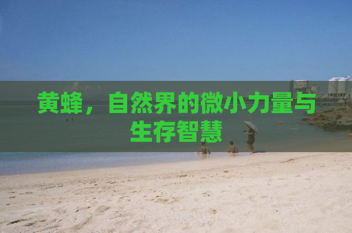 黄蜂，自然界的微小力量与生存智慧