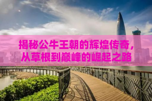 揭秘公牛王朝的辉煌传奇，从草根到巅峰的崛起之路