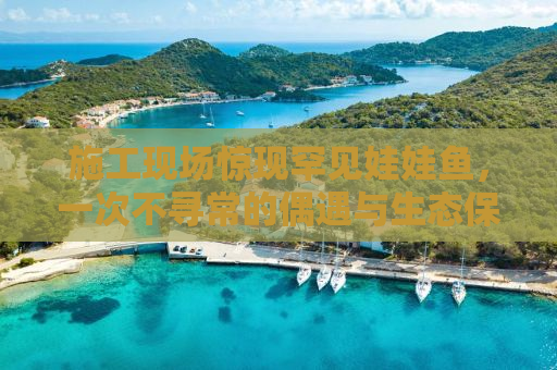 施工现场惊现罕见娃娃鱼，一次不寻常的偶遇与生态保护的思考