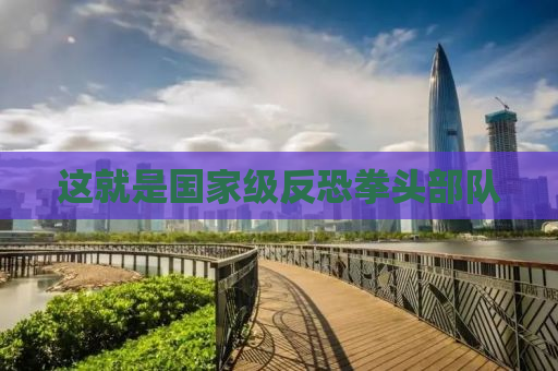 这就是国家级反恐拳头部队