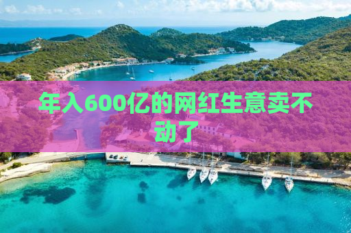 年入600亿的网红生意卖不动了