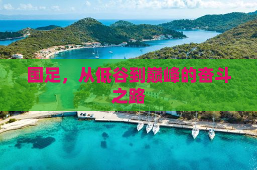 国足，从低谷到巅峰的奋斗之路