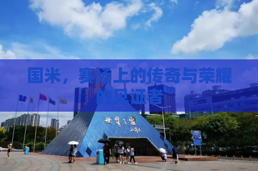 国米，赛场上的传奇与荣耀的见证者