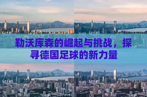 勒沃库森的崛起与挑战，探寻德国足球的新力量