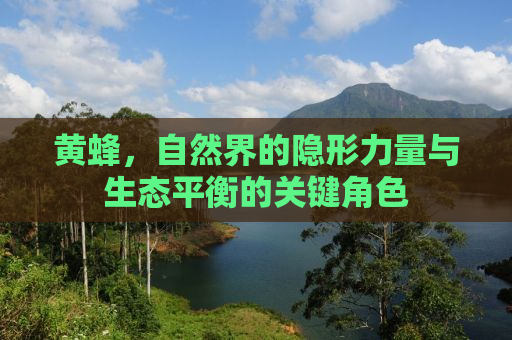 黄蜂，自然界的隐形力量与生态平衡的关键角色