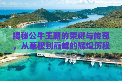 揭秘公牛王朝的荣耀与传奇，从草根到巅峰的辉煌历程