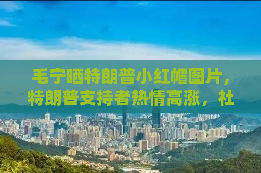毛宁晒特朗普小红帽图片，特朗普支持者热情高涨，社交媒体热议不断，背后的故事引人深思