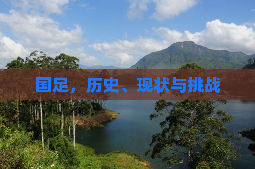国足，历史、现状与挑战
