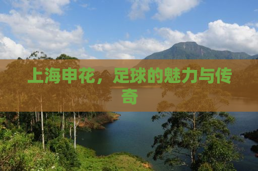 上海申花，足球的魅力与传奇