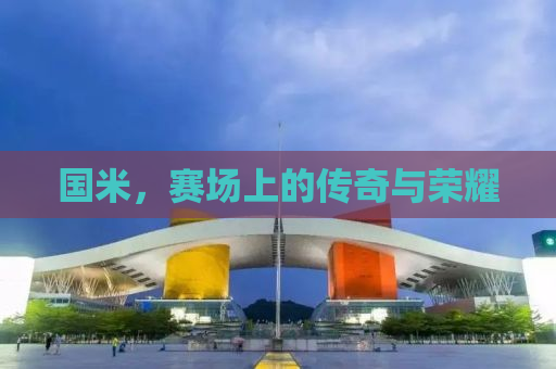 国米，赛场上的传奇与荣耀