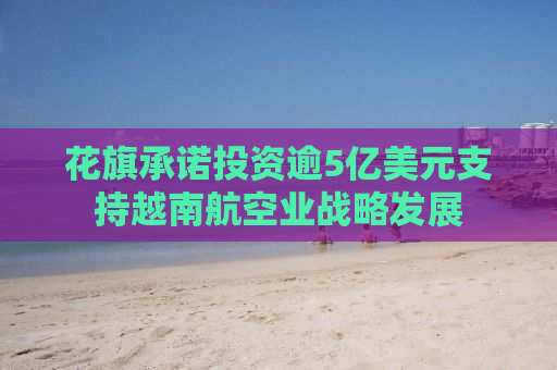 花旗承诺投资逾5亿美元支持越南航空业战略发展