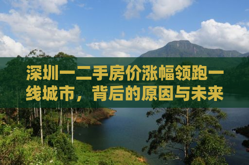 深圳一二手房价涨幅领跑一线城市，背后的原因与未来趋势解析