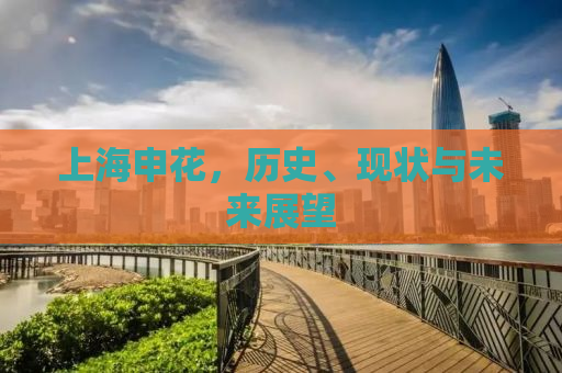 上海申花，历史、现状与未来展望