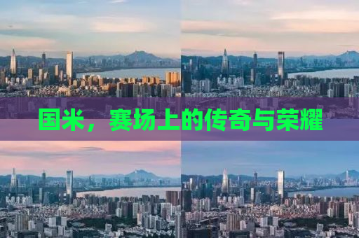 国米，赛场上的传奇与荣耀