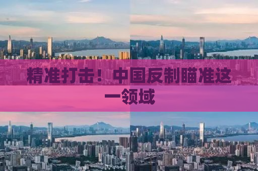 精准打击！中国反制瞄准这一领域