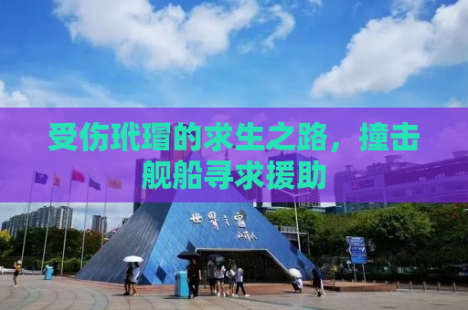 受伤玳瑁的求生之路，撞击舰船寻求援助