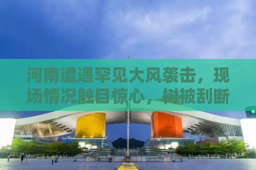 河南遭遇罕见大风袭击，现场情况触目惊心，树被刮断，铁皮飞上天际