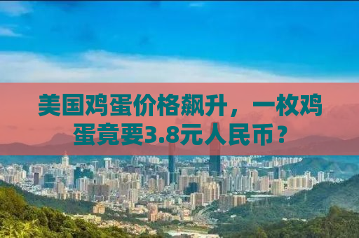 美国鸡蛋价格飙升，一枚鸡蛋竟要3.8元人民币？