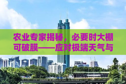 农业专家揭秘，必要时大棚可破膜——应对极端天气与提高作物产量的关键策略