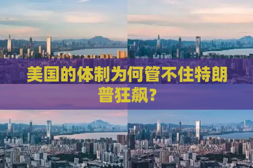 美国的体制为何管不住特朗普狂飙？