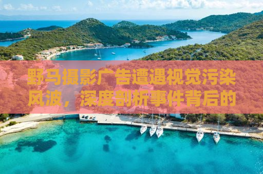 野马摄影广告遭遇视觉污染风波，深度剖析事件背后的真相与启示