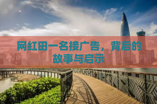 网红田一名接广告，背后的故事与启示