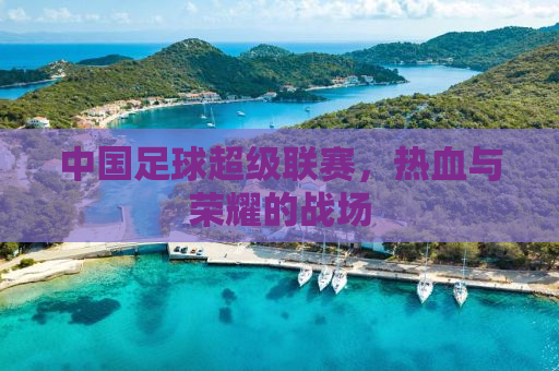中国足球超级联赛，热血与荣耀的战场