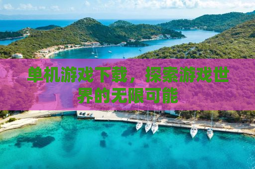 单机游戏下载，探索游戏世界的无限可能