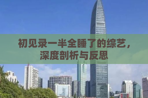 初见录一半全睡了的综艺，深度剖析与反思