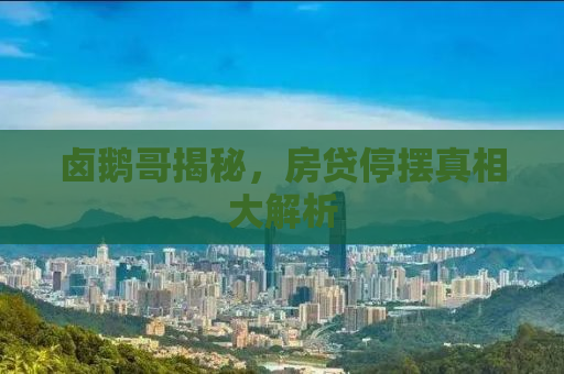 卤鹅哥揭秘，房贷停摆真相大解析