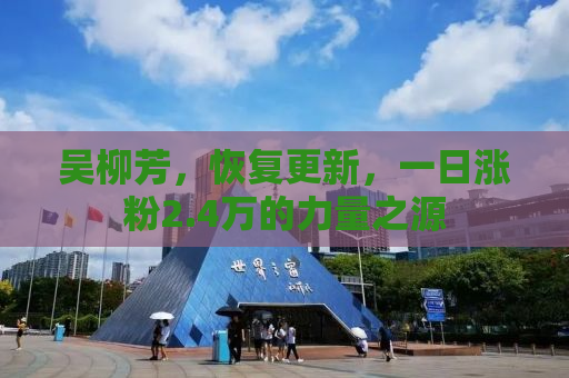 吴柳芳，恢复更新，一日涨粉2.4万的力量之源