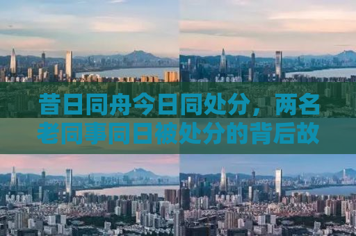 昔日同舟今日同处分，两名老同事同日被处分的背后故事