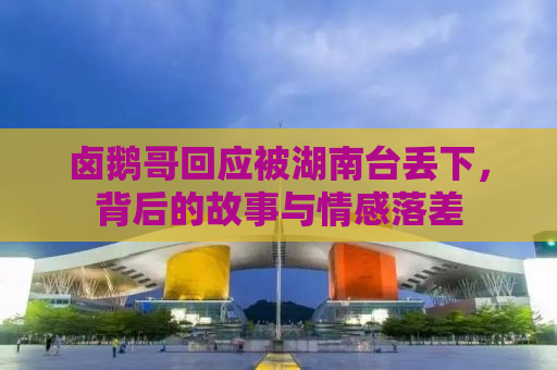 卤鹅哥回应被湖南台丢下，背后的故事与情感落差
