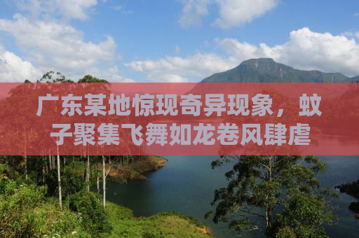 广东某地惊现奇异现象，蚊子聚集飞舞如龙卷风肆虐