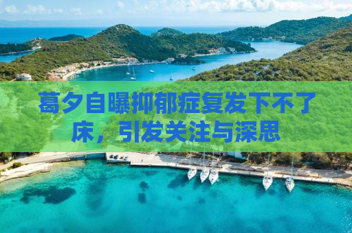 葛夕自曝抑郁症复发下不了床，引发关注与深思