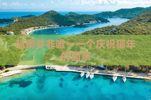 越南并非唯一一个庆祝猫年的国家