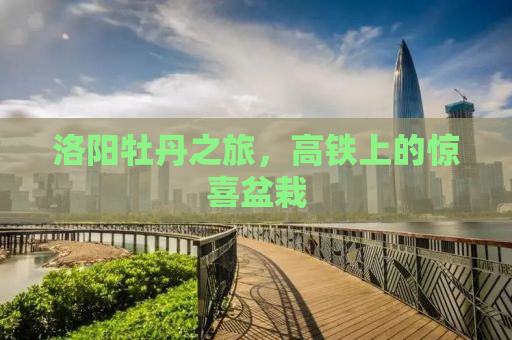 洛阳牡丹之旅，高铁上的惊喜盆栽
