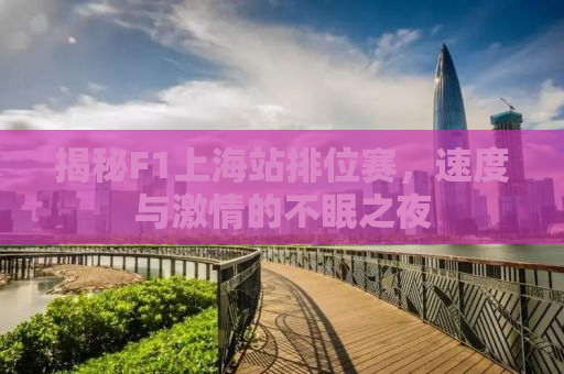 揭秘F1上海站排位赛，速度与激情的不眠之夜
